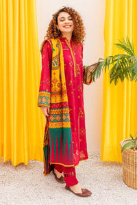 Dhanak 3-Piece Embroidered Dress D-GD 9107