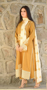 Dhanak 3-Piece Embroidered Dress D-GD T17