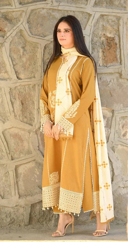Dhanak 3-Piece Embroidered Dress D-GD T17