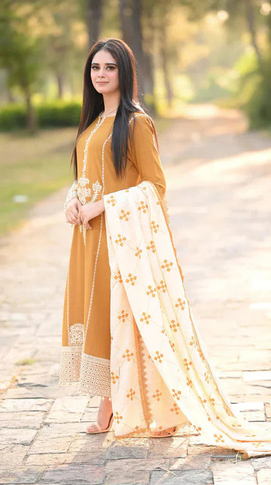 Dhanak 3-Piece Embroidered Dress D-GD T17