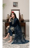 KY305 - Embroidered Velvet 3-Piece Dress with Embroidered Organza